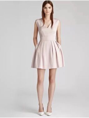 Reiss Amyl Pleated Fit & Flare Mini Dress French Pink US 4